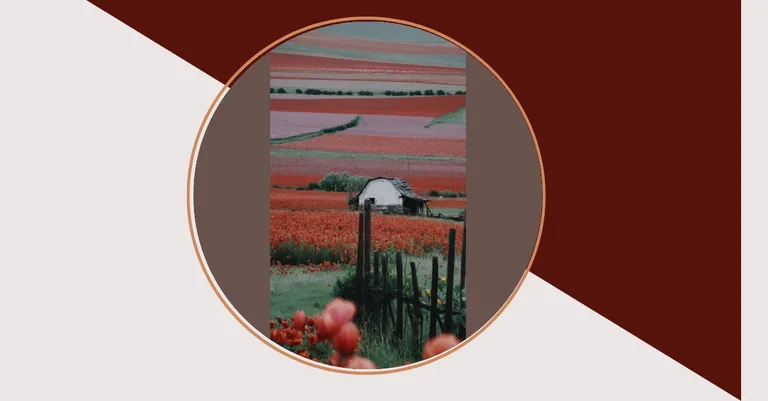 Unlocking Elegance: Explore 15 Beautiful House Ideas for Modern Living