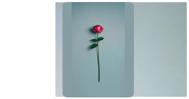 19 Anniversary Wallpaper Ideas to Celebrate Your Happy Marriage in Style