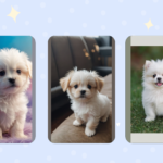 Whiskers and Wiggles: Meet the Adorable Teacup Puppies