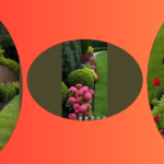 Creative Fence Line Landscaping Ideas to Spruce Up Your Outdoor Space