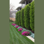 Easy and Elegant Backyard Fence Line Landscaping Ideas