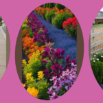 15 Farm-Fresh Fence Line Landscaping Ideas for Every Home