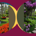 Tropical Paradise: 15 Stunning Landscaping Ideas for Your Outdoor Spaces