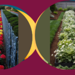 15 Stunning Fence Line Landscaping Ideas for Your Backyard Oasis