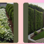 Creative Fence Line Landscaping Ideas for a Stunning Backyard Oasis