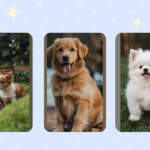 Cuteness Overload: 15 Puppy Ideas That Will Make Your Heart Melt