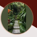 Tropical Jungle Garden Design Ideas for Your Small Backyard