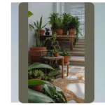 Green Elegance: 15 Stylish House Plant Ideas for Indoor Decor