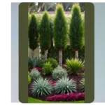 Transform Your Outdoor Space: 15 Florida Landscaping Ideas for Every Corner