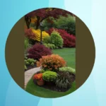 Fall Garden Fun: 15 Ideas for Vegetables and More!