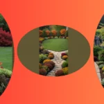 Elevate Your Space: 15 Fall Garden Ideas You’ll Love