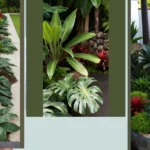 Tiny Treasures: 15 Ingenious Small Spaces Landscaping Ideas for Tropical Gardens in Australia