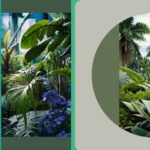 Radiant Rays: 15 Tropical Plants for Full Sun Outdoors