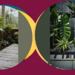 Green Elegance: The Ultimate Guide to Indoor House Plants Ideas