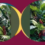 Sunny Delights: 15 Colorful Tropical Plants for Your Outdoor Escape