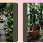 Pet-Safe Paradise: 15 Indoor House Plants Ideas Your Furry Friends Will Love