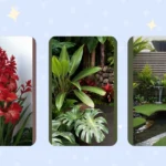 Blooming Beauties: 15 Small Spaces Landscaping Ideas Inspired by Nature