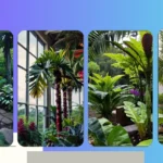 Tropical Oasis Makeover: 15 Full Sun Plants for Your Outdoor Extravaganza