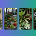 Tropical Oasis: 15 Australian Small Spaces Landscaping Ideas