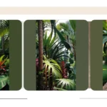 Sunny Delights: 15 Tropical Plants Thriving in Full Sun Outdoors