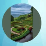 Wanderlust at Home: 15 Stunning Wallpaper Ideas for Travel Lovers