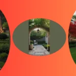 Mixing Farmhouse Charm with Tropical Vibes: 15 Landscaping Ideas**  
**