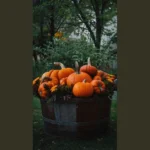 Fall in Love: 15 Unique Decor Ideas for Your Cozy Home