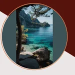 Elevate Your Space: 15 Inspiring Wallpapers That Celebrate Nature