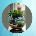 Discover 15 Houseplants That Will Beautify Your Space