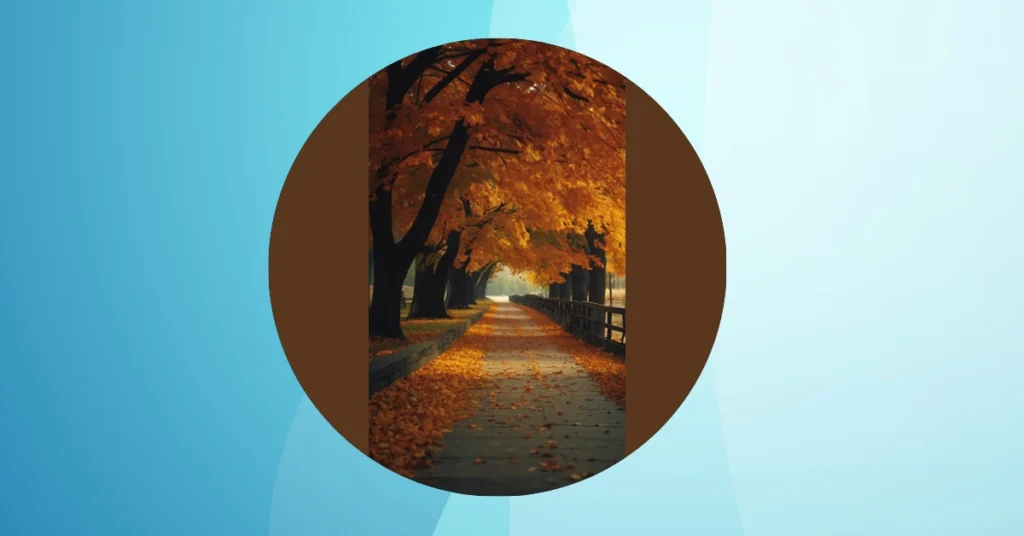 From East to West: 15 Picture-Perfect Spots Across Canada