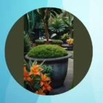 Tropical Vibes: 15 Ideas for Your Cozy Front Yard Oasis