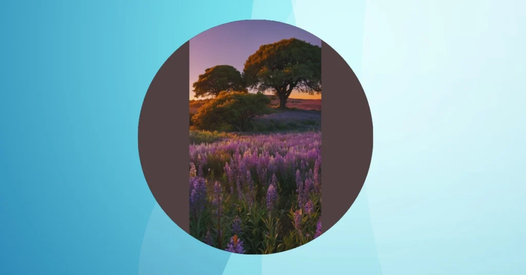 Unveiling 15 Beautiful House Blueprints for the Modern Aesthetic