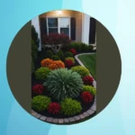 Small Yards, Big Dreams: 15 Landscaping Ideas to Dazzle