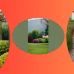 Green-Thumb Fun: 15 Evergreen Landscape Ideas for Everyone!