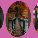 Embrace the Fall Vibes with These 15 Cozy Wallpaper Ideas