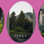 Evergreen Landscape Dreams: 15 Ideas to Transform Your Front Yard