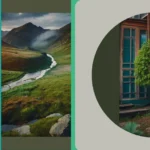 From Blah to Blooming: 15 Evergreen Ideas for Your Yard