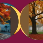 Dive into Autumn: 15 Inspiring Landscape Ideas for Artists