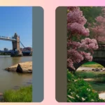 Exploring Nature and Architecture: 15 Bridges that Inspire