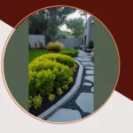 Transforming Tiny Spaces: 15 Modern Backyard Landscaping Ideas