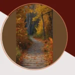 Autumn Wonders: 15 Inspirational Landscape Ideas for Artists and Photographers