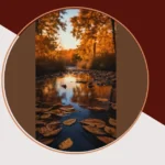 Cozy Up Your Tech: 15 Fall Aesthetic Wallpapers for Your Devices