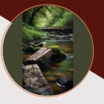 Discovering Aesthetics: 15 Bridges That Captivate the Eye