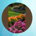 Small Spaces, Big Impact: 15 Fall Garden Ideas for Tight Yards