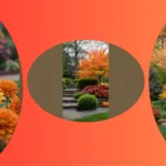Seasonal Sensation: 15 Fall Garden Ideas for Every Home