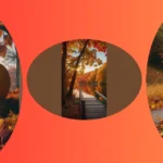 Bring Autumn Home: 13 Fall Wallpapers That Spark Joy