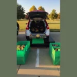 Unleashing Creativity: 10 Simple Trunk or Treat Ideas for All Ages