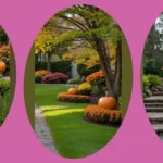 Transform Your Landscapes: 15 Fall Garden Ideas for Every Space