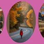 Capture the Essence of Fall: 13 Nature Photography Ideas