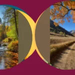 Nature Calling! 13 Fall Photography Ideas You Can’t Miss